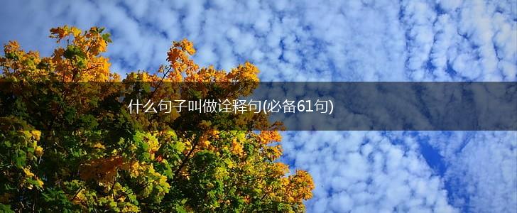 什么句子叫做诠释句(必备61句),第1张 什么句子叫做诠释句(必备61句),第1张