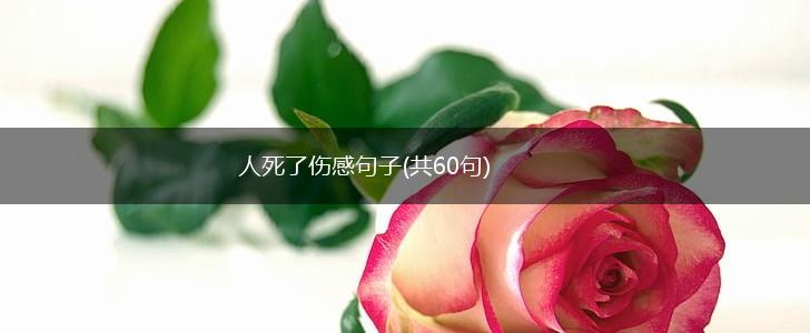 人死了伤感句子(共60句),第1张