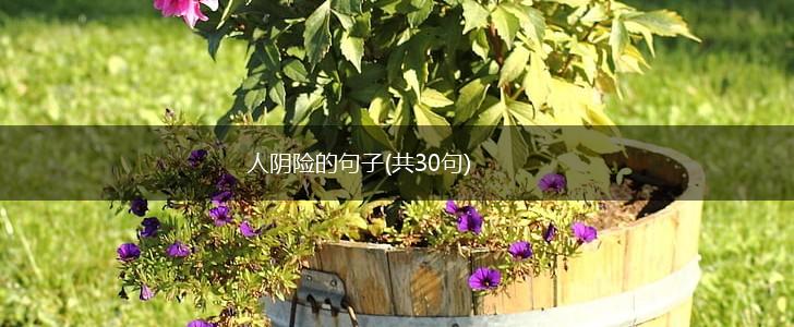 人阴险的句子(共30句),第1张