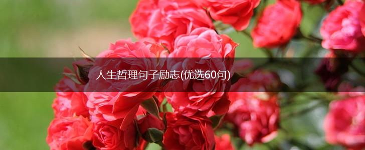 人生哲理句子励志(优选60句),第1张