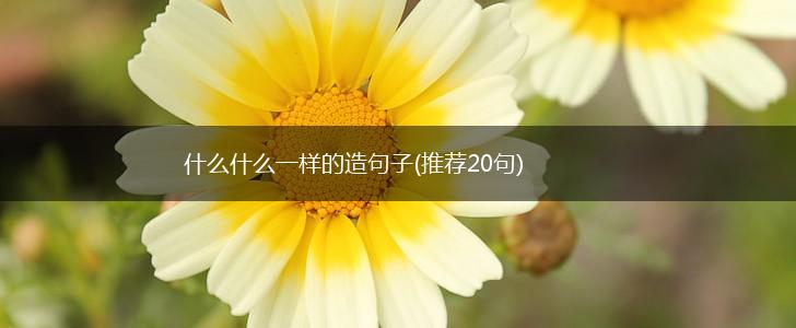 什么什么一样的造句子(推荐20句),第1张 什么什么一样的造句子(推荐20句),第1张