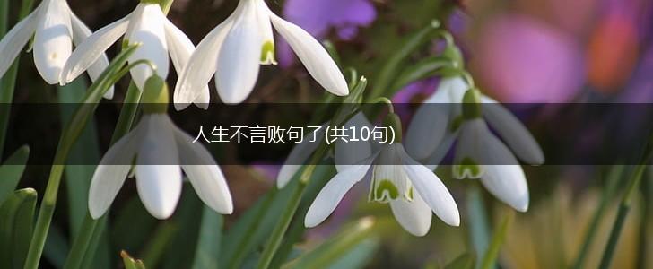 人生不言败句子(共10句),第1张