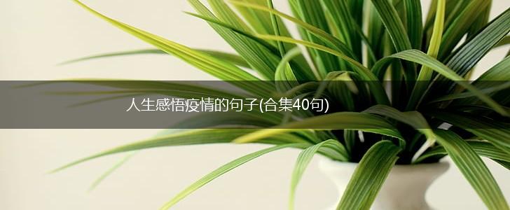 人生感悟疫情的句子(合集40句),第1张