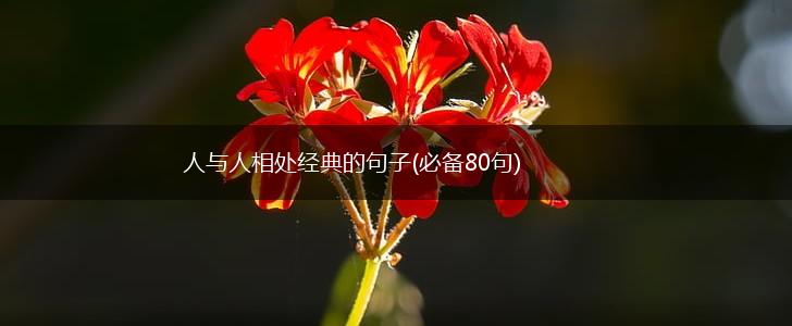 人与人相处经典的句子(必备80句),第1张