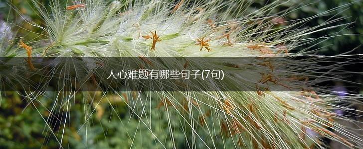 人心难题有哪些句子(7句),第1张