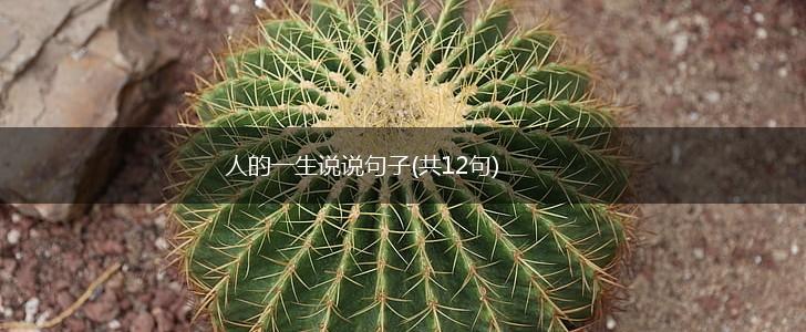 人的一生说说句子(共12句),第1张 人的一生说说句子(共12句),第1张