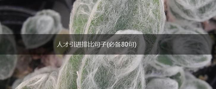 人才引进排比句子(必备80句),第1张