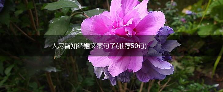 人尽皆知结婚文案句子(推荐50句),第1张