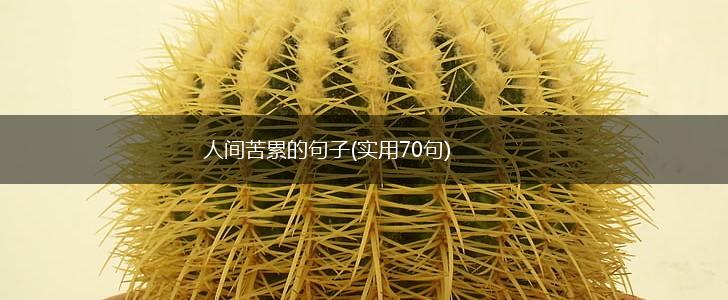 人间苦累的句子(实用70句),第1张