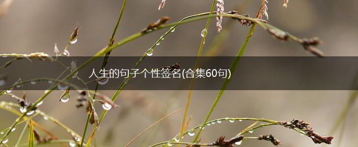 人生的句子个性签名(合集60句),第1张