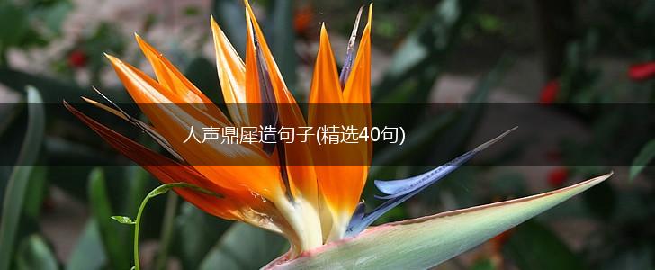 人声鼎犀造句子(精选40句),第1张