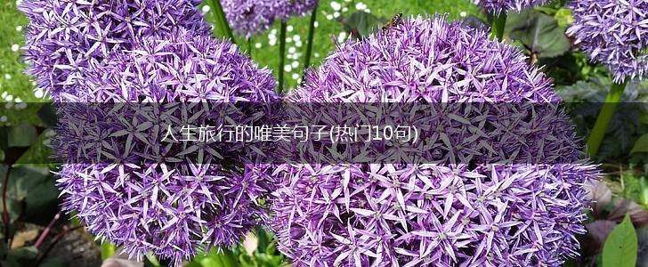 人生旅行的唯美句子(热门10句),第1张