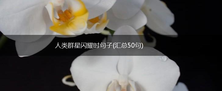 人类群星闪耀时句子(汇总50句),第1张