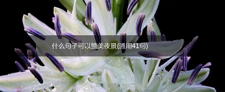 什么句子可以赞美夜景(通用41句),第1张