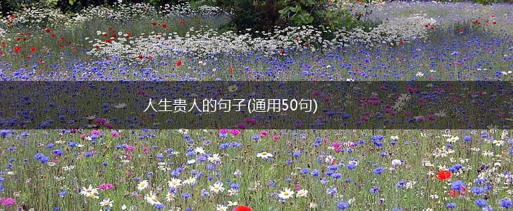 人生贵人的句子(通用50句),第1张