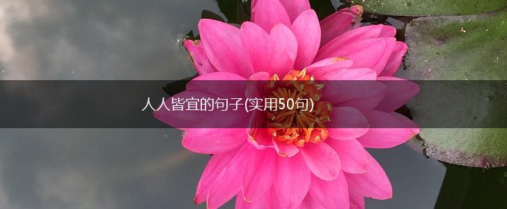 人人皆宜的句子(实用50句),第1张