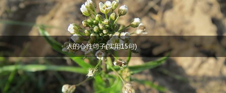 人的心性句子(实用15句),第1张