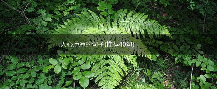 人心薄凉的句子(推荐40句),第1张