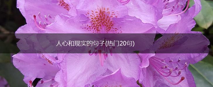 人心和现实的句子(热门20句),第1张