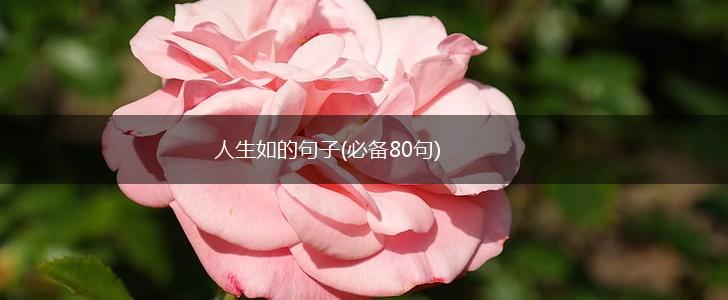 人生如的句子(必备80句),第1张
