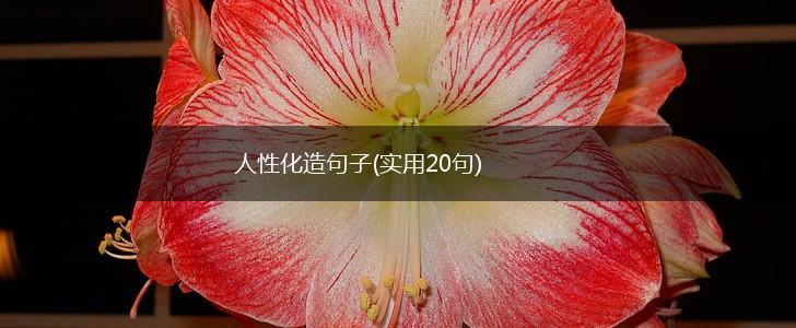 人性化造句子(实用20句),第1张