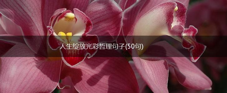 人生绽放光彩哲理句子(50句),第1张