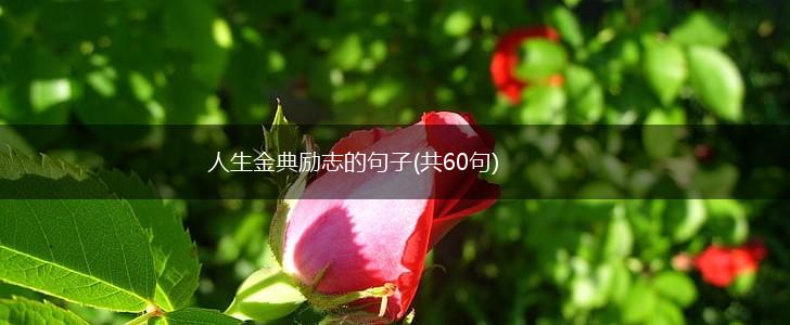 人生金典励志的句子(共60句),第1张