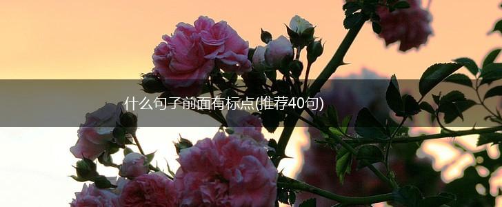 什么句子前面有标点(推荐40句),第1张