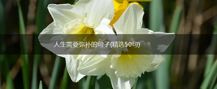 人生需要弥补的句子(精选50句),第1张