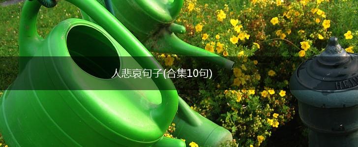 人悲哀句子(合集10句),第1张