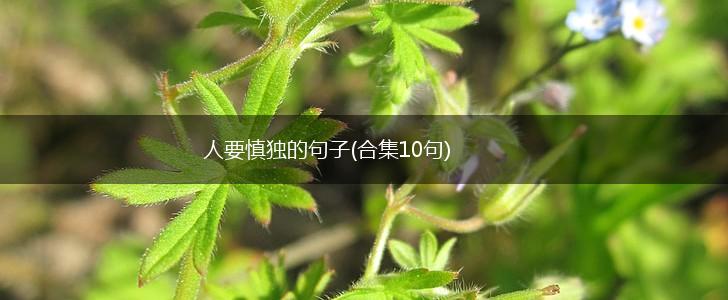 人要慎独的句子(合集10句),第1张