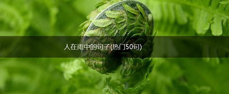 人在雨中的句子(热门50句),第1张