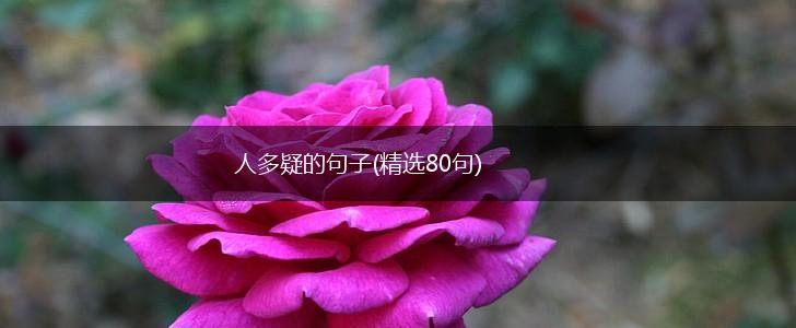 人多疑的句子(精选80句),第1张