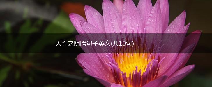人性之阴暗句子英文(共10句),第1张