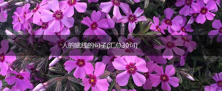 人的底线的句子(汇总30句),第1张