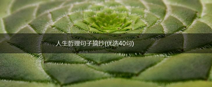 人生哲理句子摘抄(优选40句),第1张