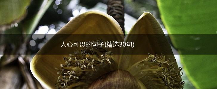 人心可畏的句子(精选30句),第1张