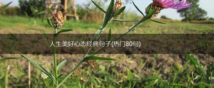 人生美好心态经典句子(热门80句),第1张