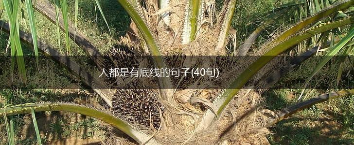 人都是有底线的句子(40句),第1张