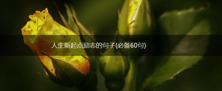 人生新起点励志的句子(必备60句),第1张