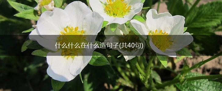 什么什么在什么造句子(共40句),第1张