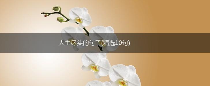 人生尽头的句子(精选10句),第1张