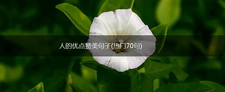 人的优点赞美句子(热门70句),第1张