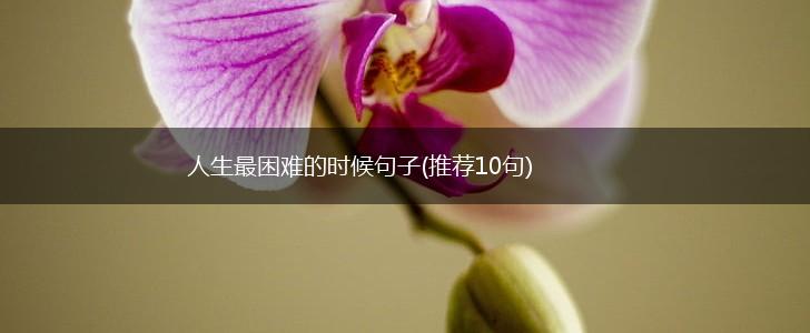 人生最困难的时候句子(推荐10句),第1张