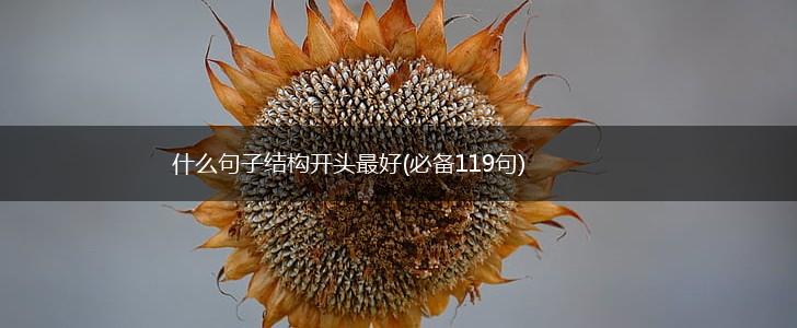 什么句子结构开头最好(必备119句),第1张