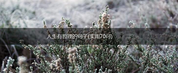 人生有哲理的句子(实用70句),第1张