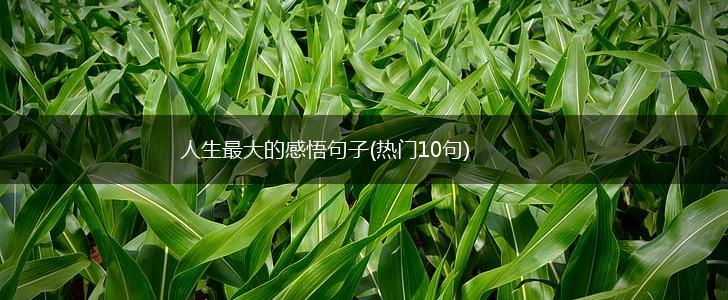 人生最大的感悟句子(热门10句),第1张