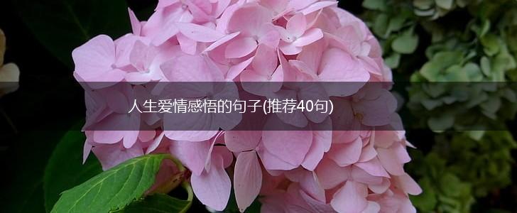 人生爱情感悟的句子(推荐40句),第1张
