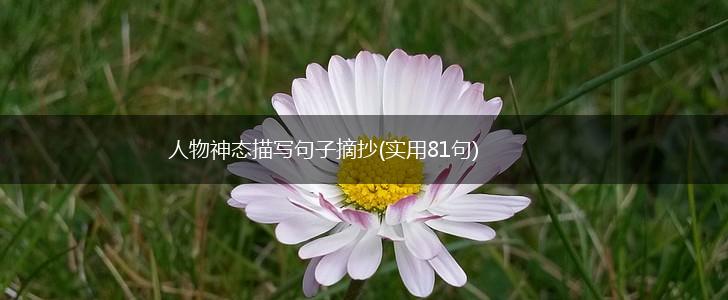 人物神态描写句子摘抄(实用81句),第1张