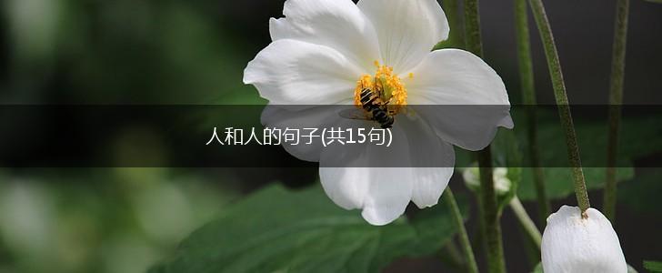 人和人的句子(共15句),第1张
